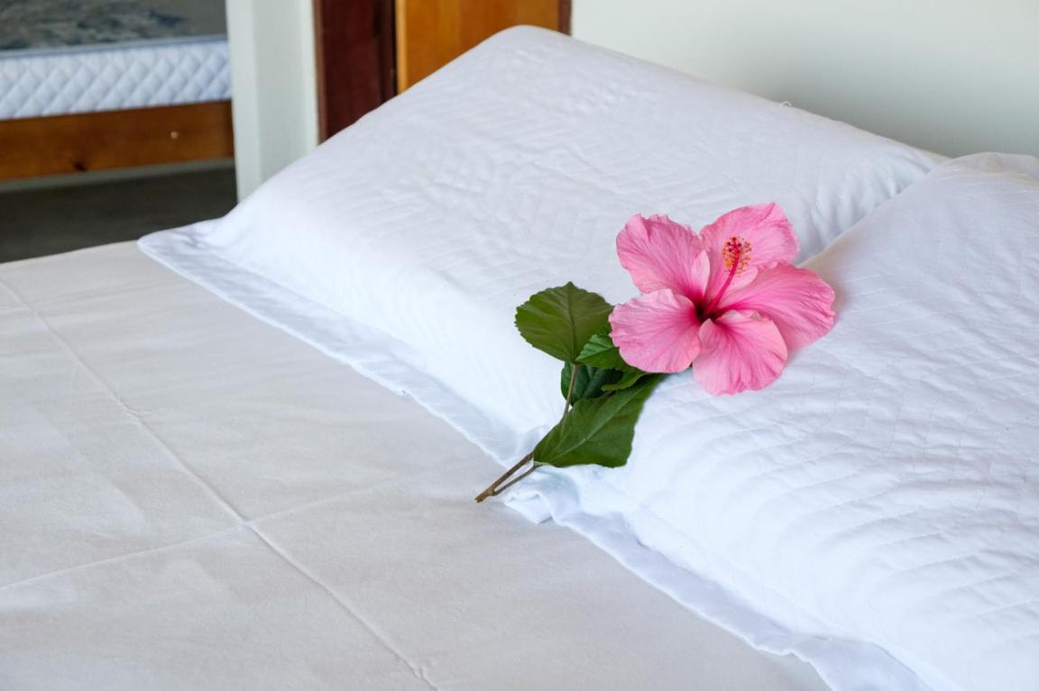 Haleiwa Chales E Suites - A Guest House Do Prumirim ウバトゥバ エクステリア 写真